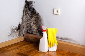 Herald Harbor, MD Mold Removal Company